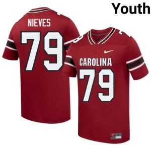 #79 College Football SC Gamecocks Armando Nieves Embroidery Garnet Youth Jerseys 155623-145