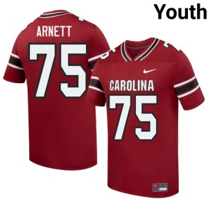 #75 Garnet College Football Stitched South Carolina Gamecocks Dayne Arnett Youth Jerseys 461031-189