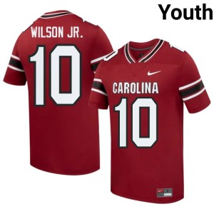 #10 George Wilson Jr. Youth Alumni College Football Cocks Garnet Jersey 817813-238