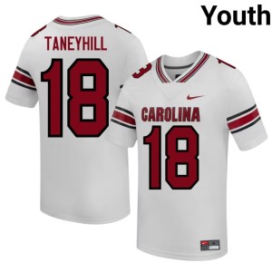 #18 White Game College Football Youth Steve Taneyhill Game Cocks Jersey 835799-616
