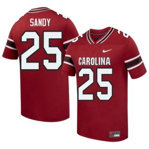 #25 Garnet Men Cocks High School Zahbari Sandy College Football Jersey 825732-336
